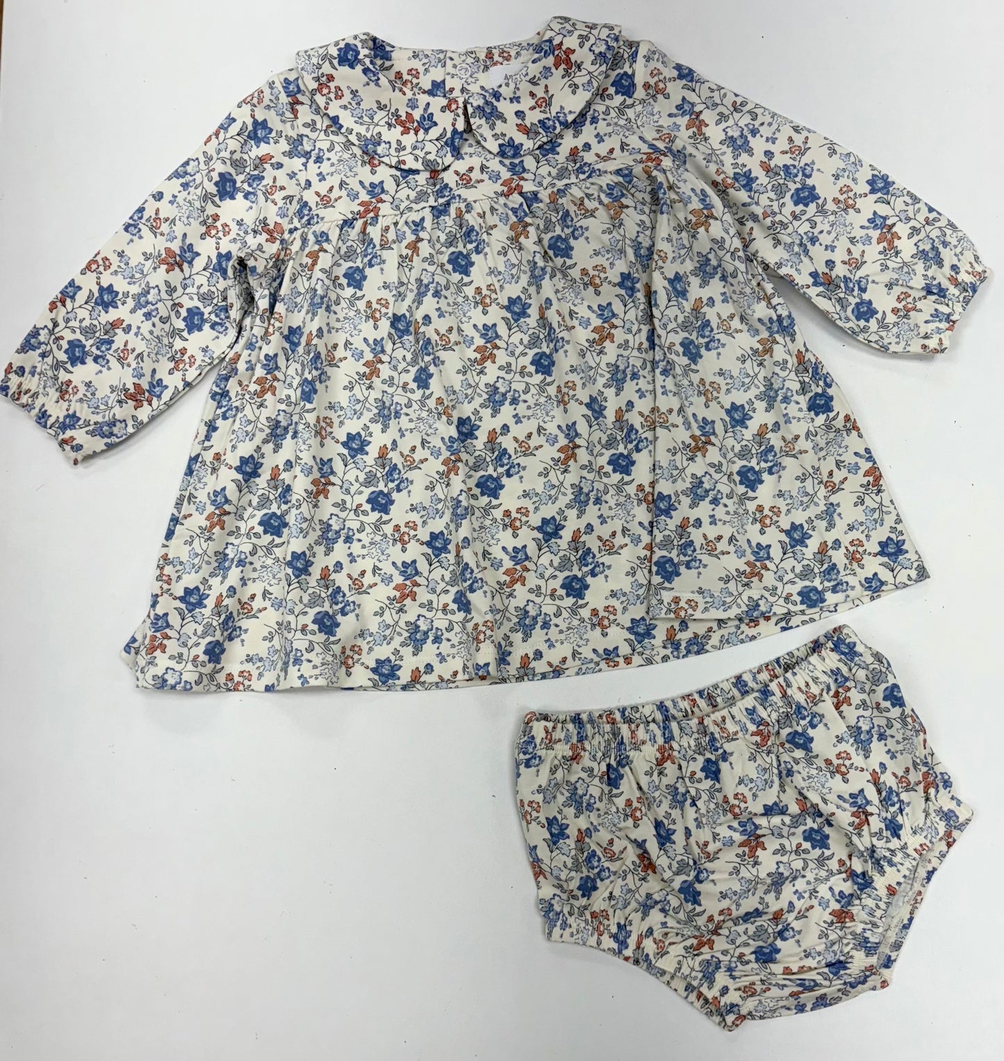 Country Girl Floral Peter Pan Collar Dress Set