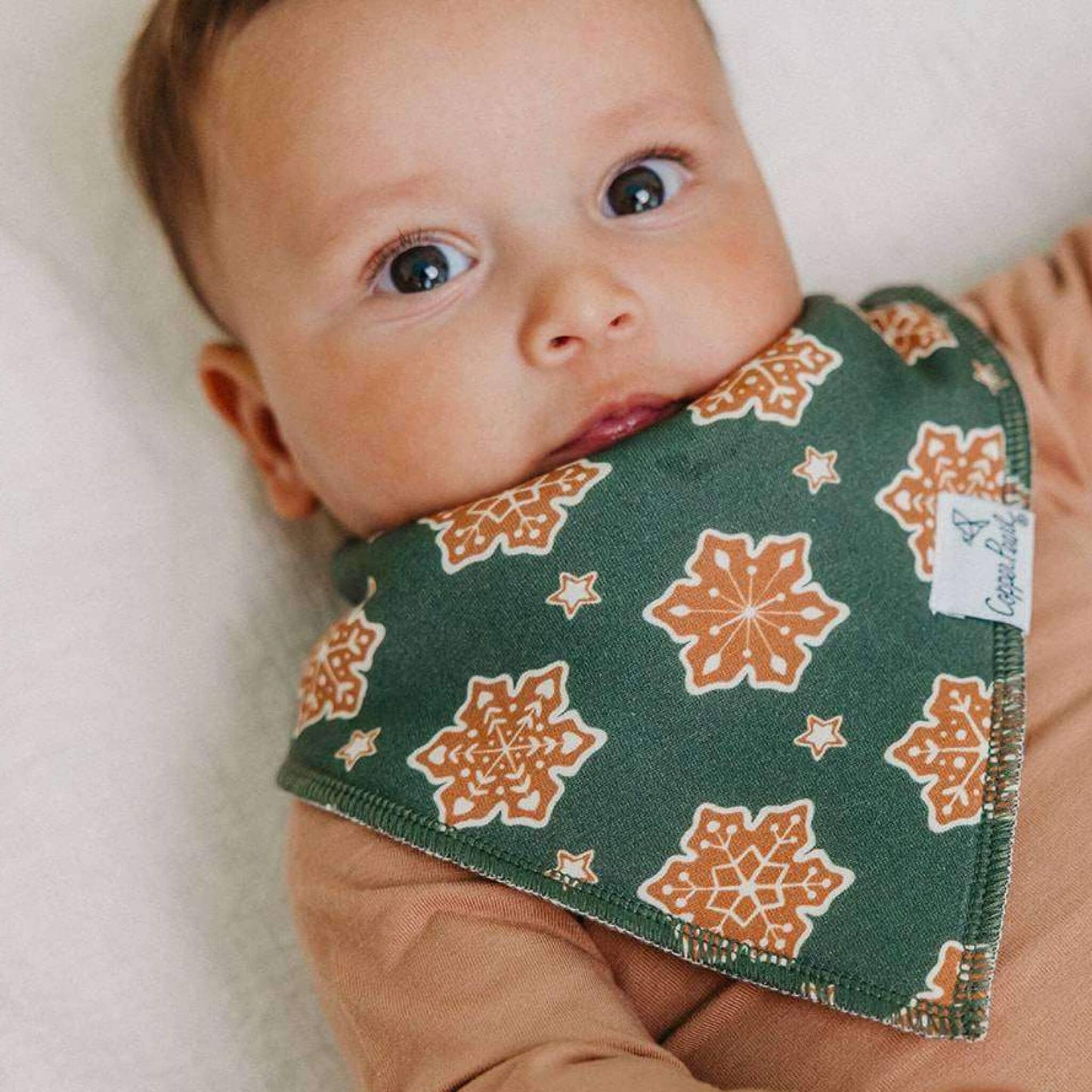 Baby Bandana Bibs - Gingerbread