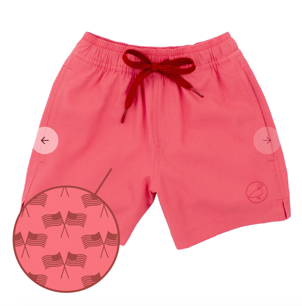 Boys Splash Swim Freedom Flag