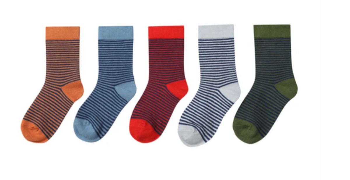 BIGFOOT thin stripe 5-pack socks