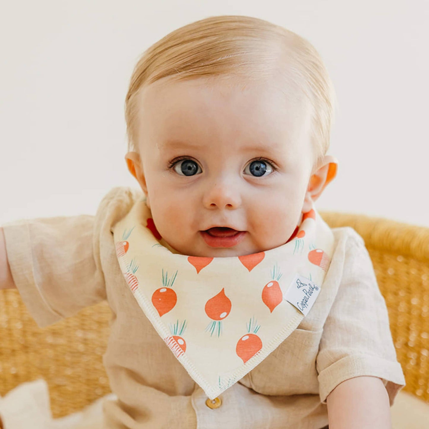 4 Pack Baby Bandana Bibs - Veggies