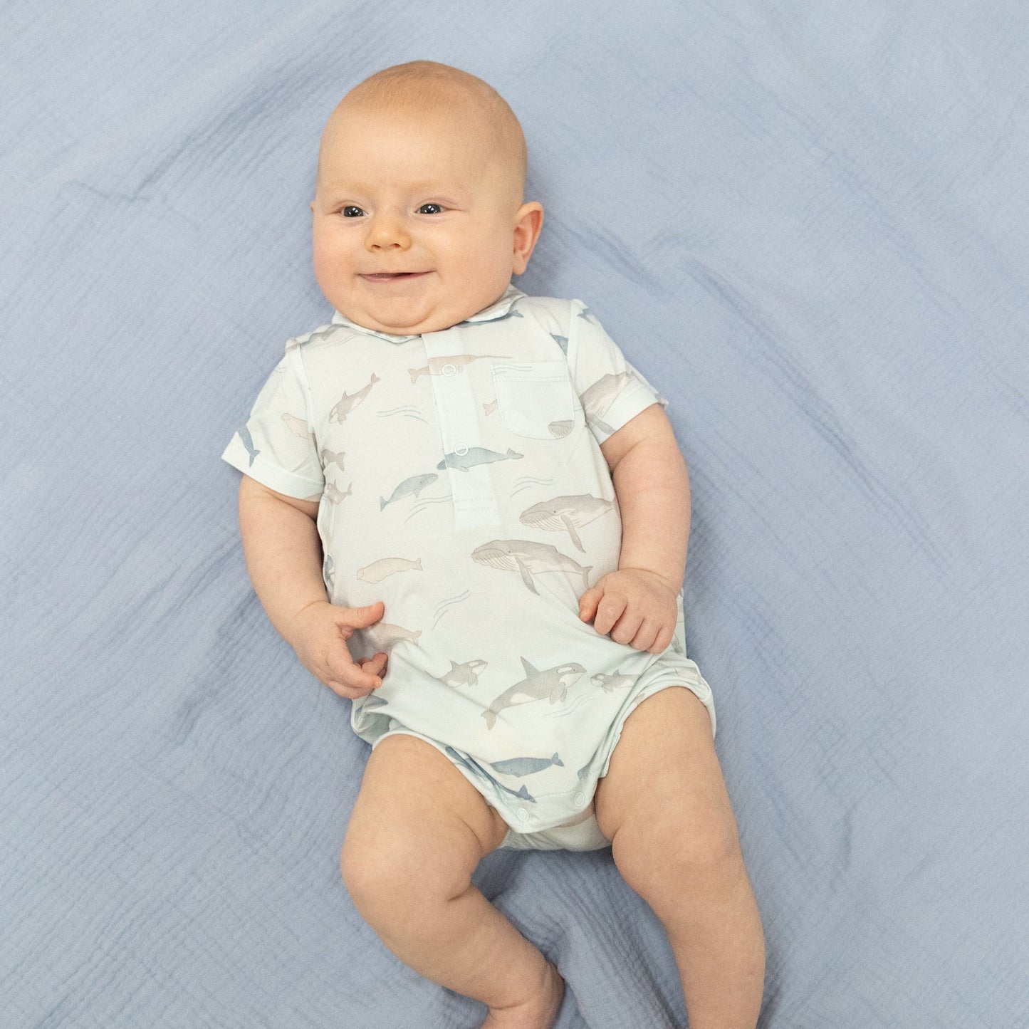 Little Whales polo Shortie