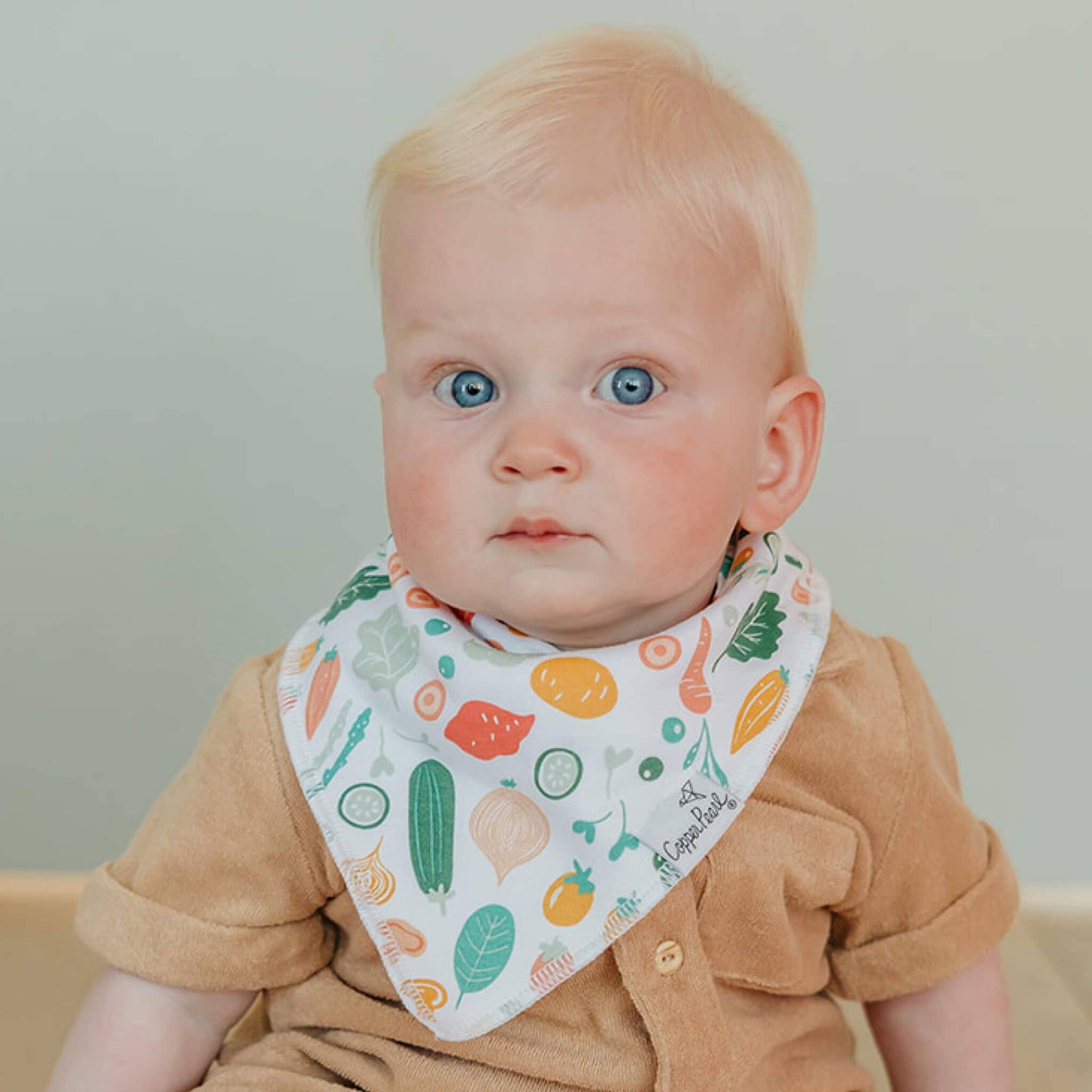 4 Pack Baby Bandana Bibs - Veggies