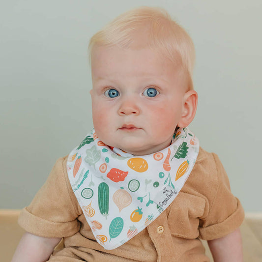 4 Pack Baby Bandana Bibs - Veggies