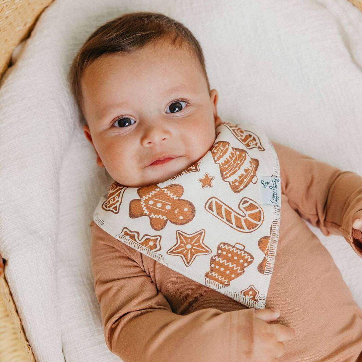 Baby Bandana Bibs - Gingerbread