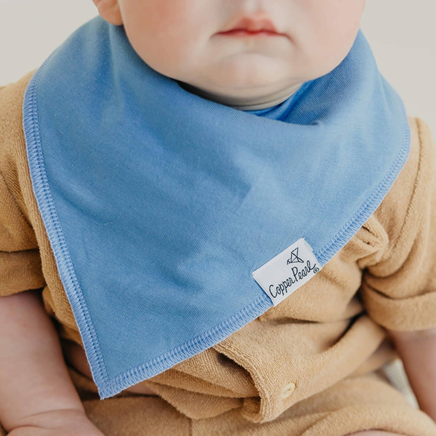 4 Pack Baby Bandana Bibs - Veggies
