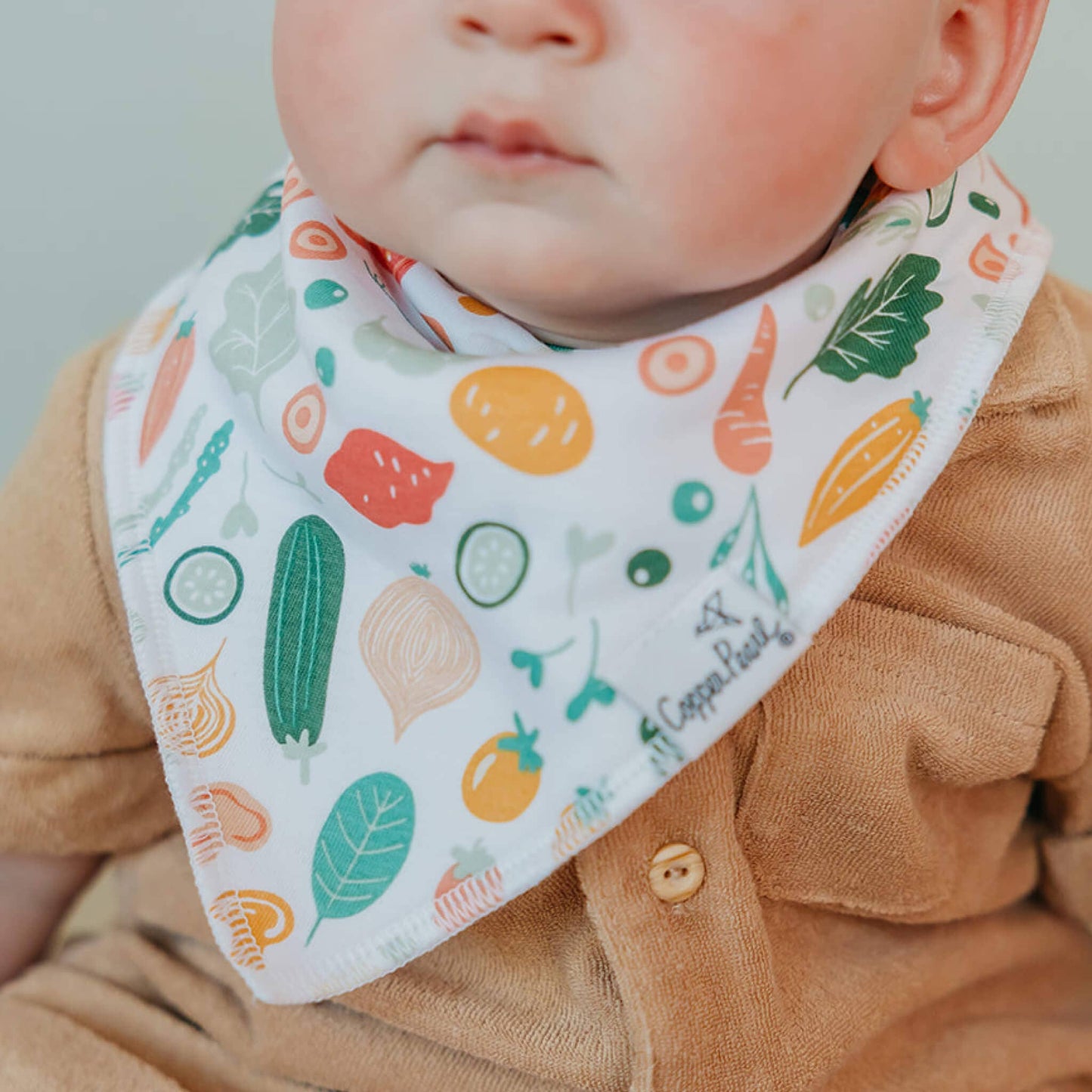 4 Pack Baby Bandana Bibs - Veggies