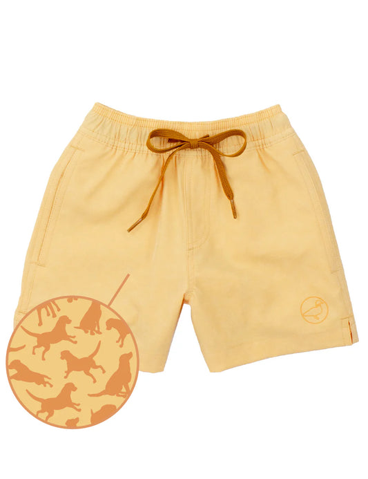 Boys Splash Swim - Dogs