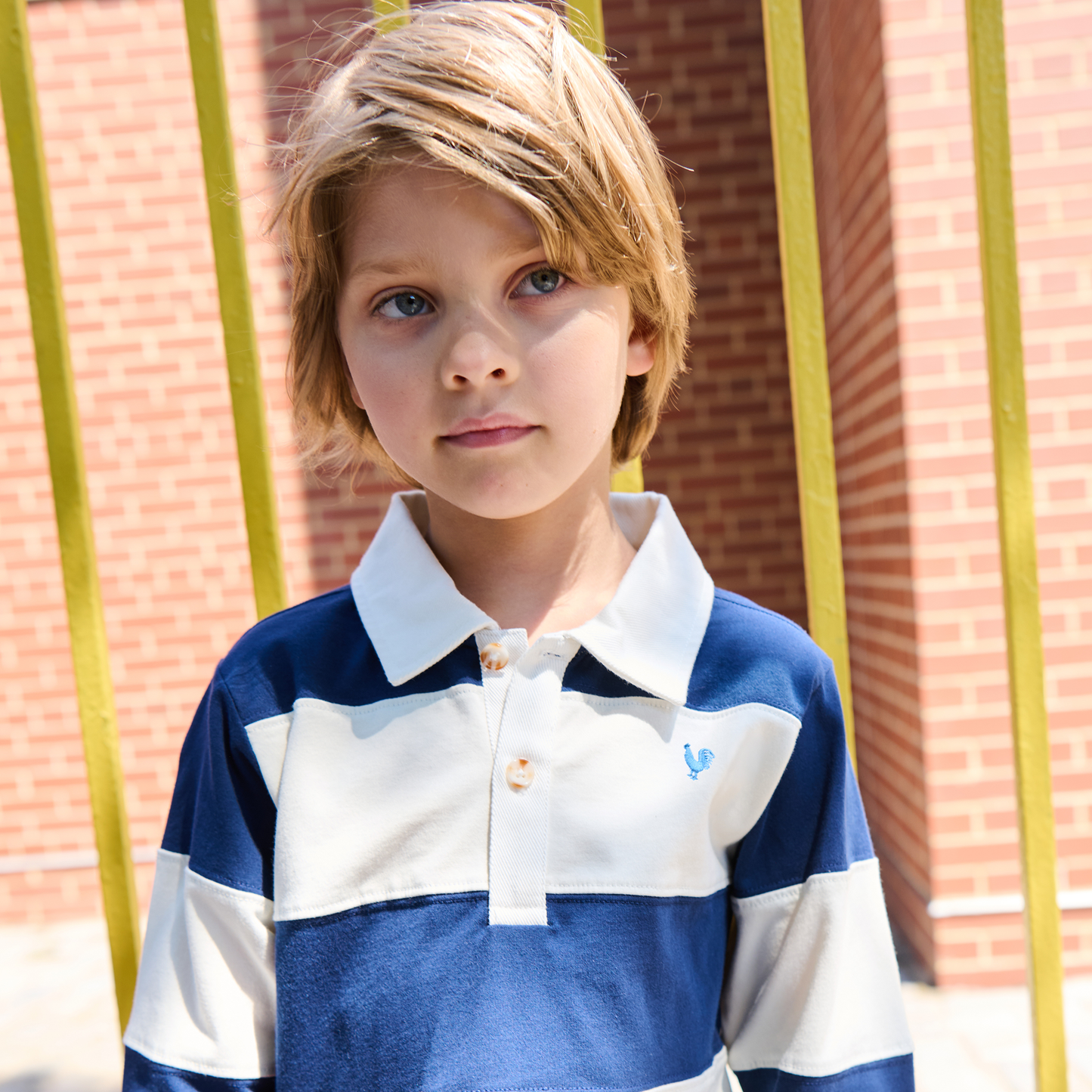 Albert Rugby shirt- Navy White