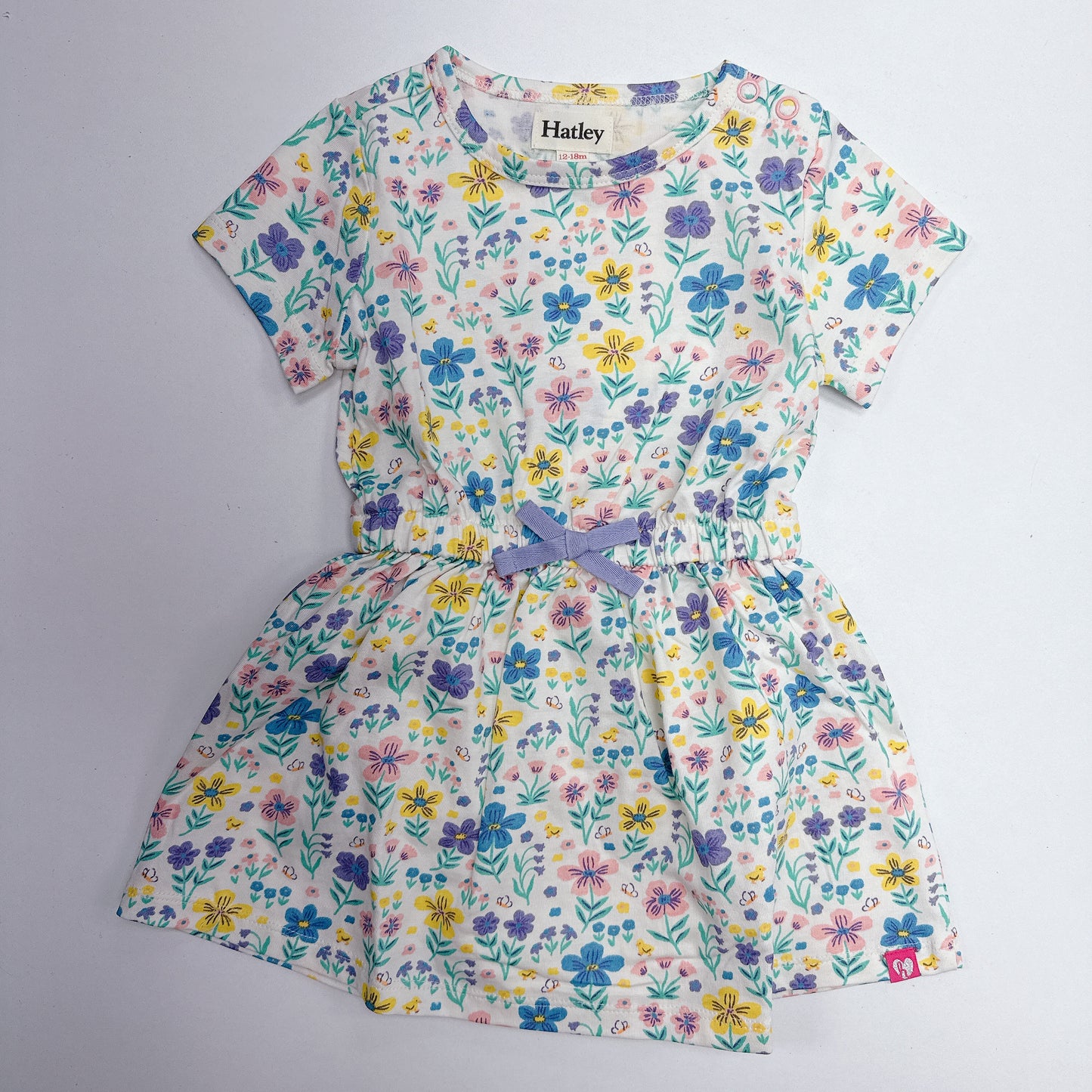 Little Garden Chicks S/S Dress