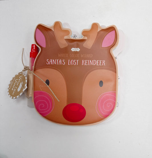 Reindeer Water Wizard book