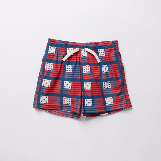 Navy Flag Swim shorts