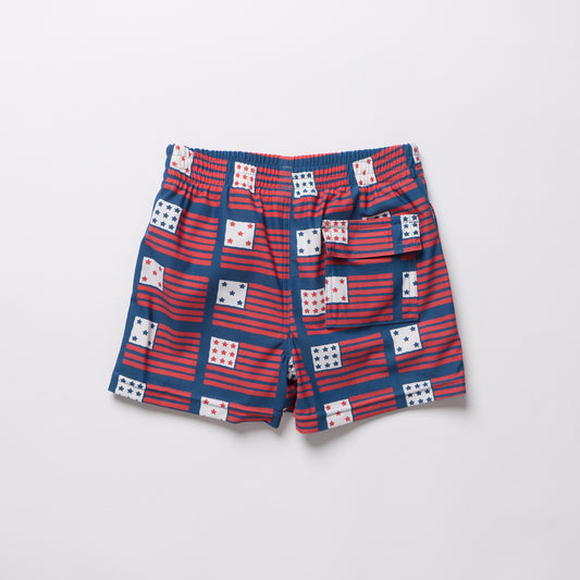 Navy Flag Swim shorts