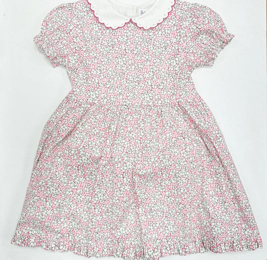 Scalloped Collar Floral Dress