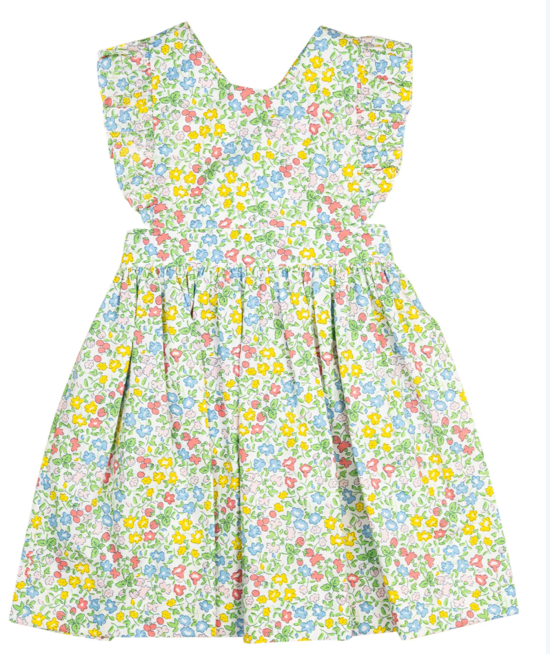Ditzty Floral & Berry Penny Dress