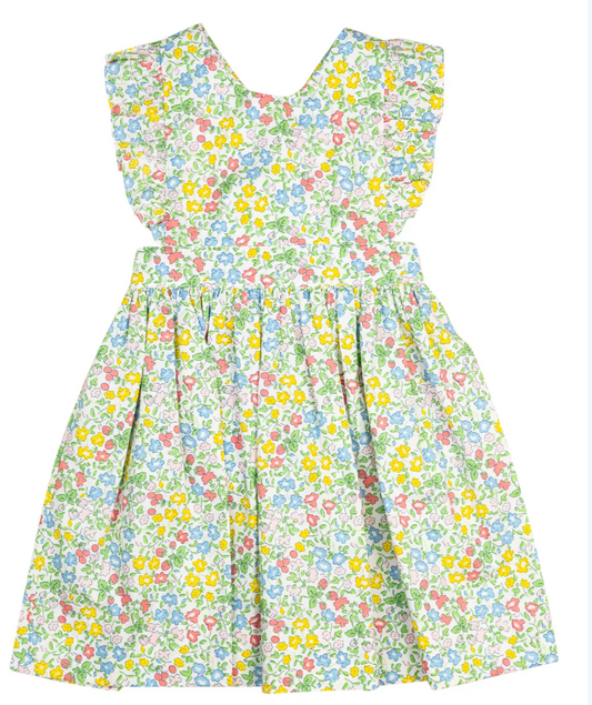 Ditzty Floral & Berry Penny Dress