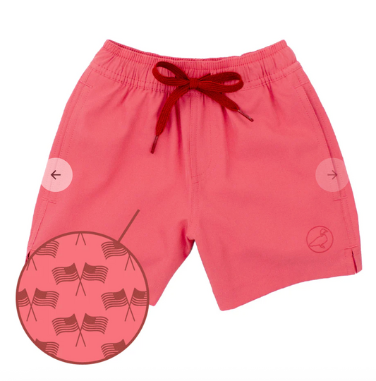 Boys Splash Swim Freedom Flag
