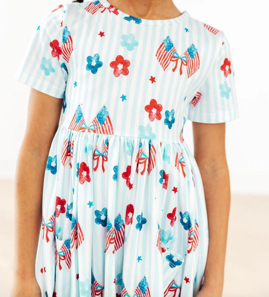 Home of the Brave S/S Pocket Twirl Dress