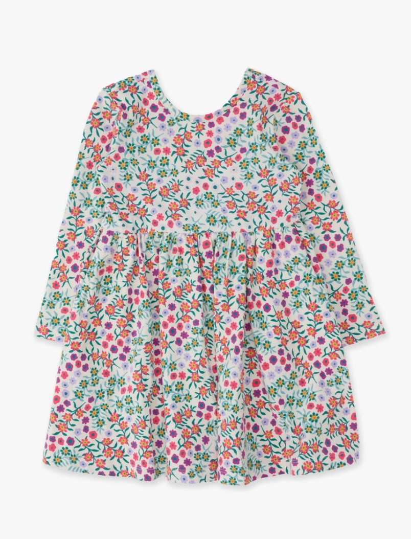 Wildflower Meadow LS Twirl Dress