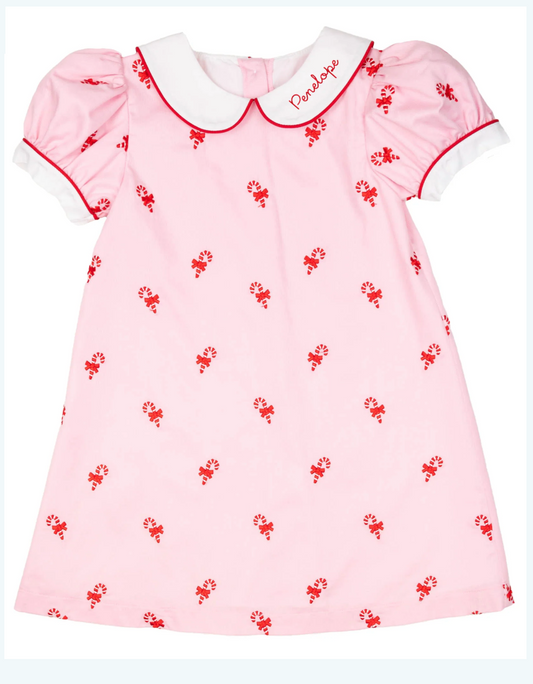 Candy Cane Pink Embroidered Dress