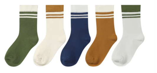 BIGFOOT solid with stripe 5-pack socks