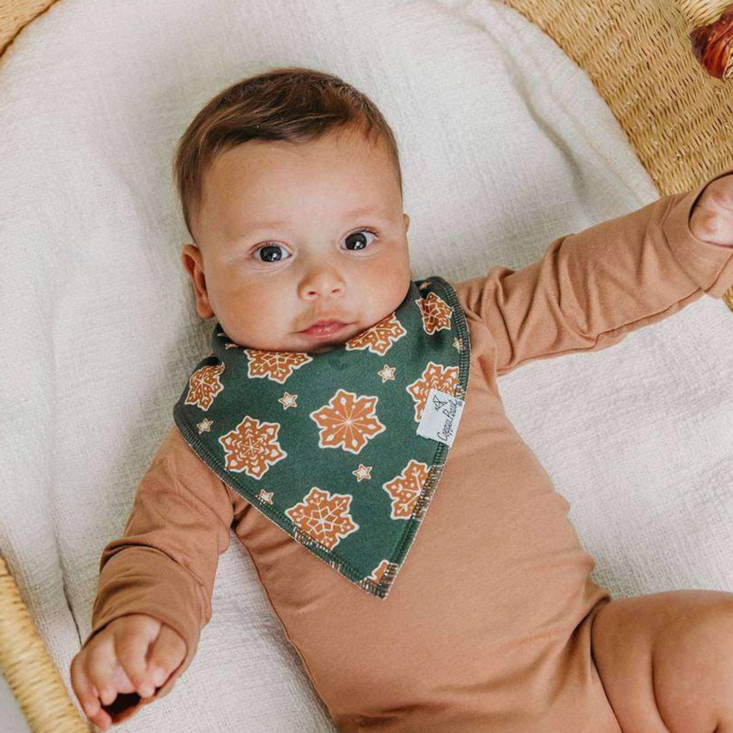 Baby Bandana Bibs - Gingerbread