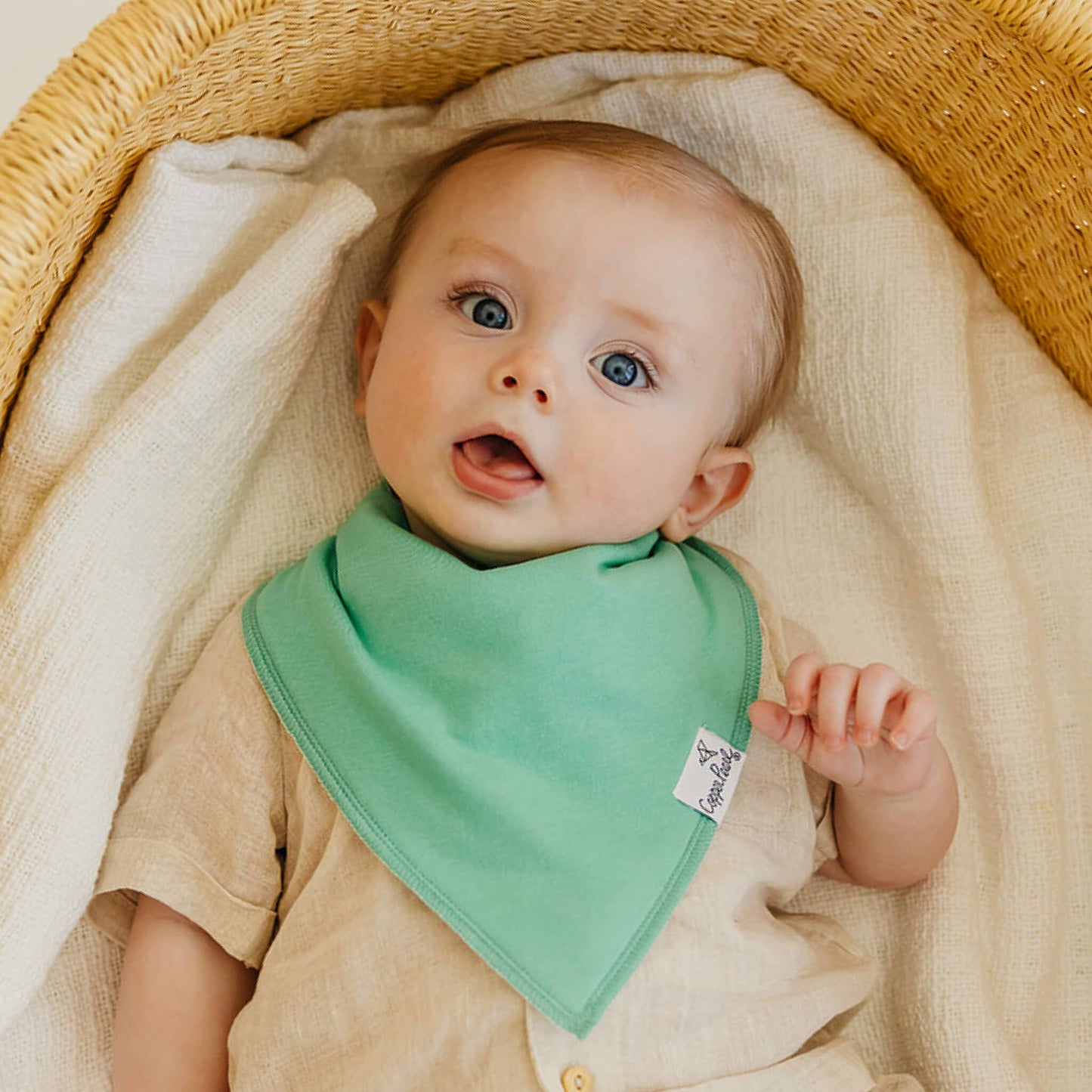4 Pack Baby Bandana Bibs - Veggies
