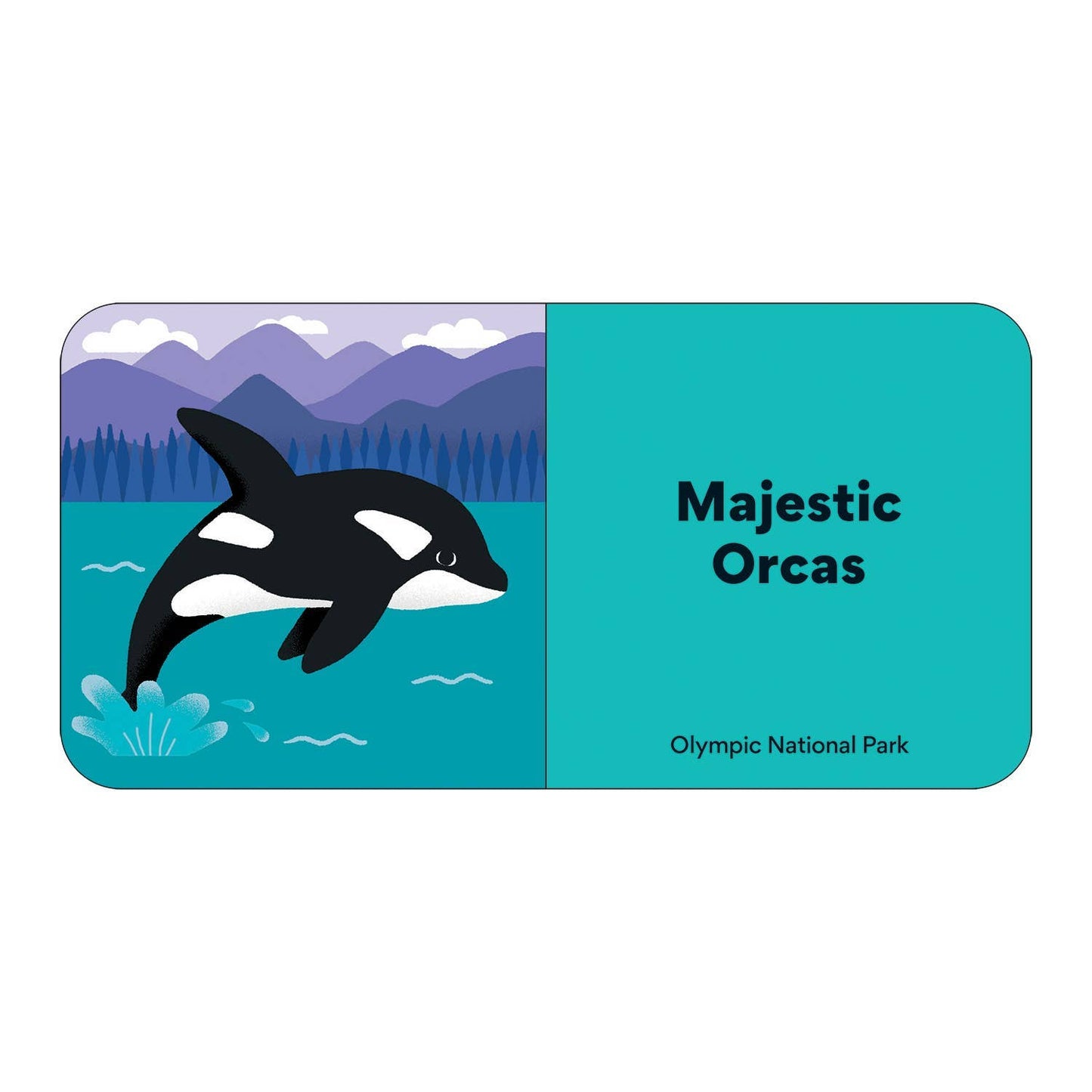 Little Park Ranger Board Book Set